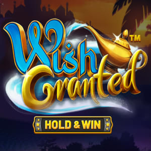 Wish Granted Hold & Win