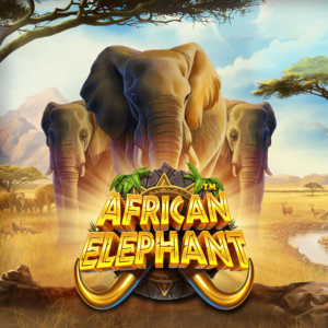 c161ba854811e02d7b9efa664ff46134african elephant slot logo
